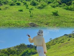-大姆山草场