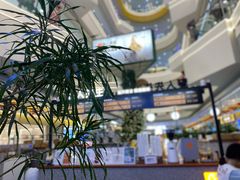 -野人先生Gelato(上海长宁龙之梦店)