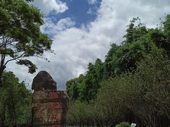 -昆明动物园