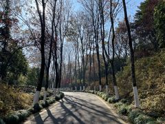 -宜兴龙背山森林公园