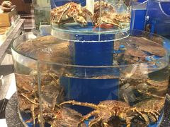 水产区-新海渔港·胶东海鲜家常菜·家宴(奥体中心店)