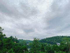 -御景酒店