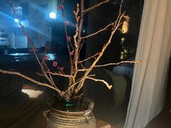-陶享时光西餐·下午茶·竹林花园(新城店)