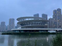 -梅溪湖城市岛