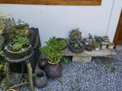 -安顺旧州古镇