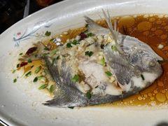 海杂鱼-大家发海鲜城夜排档(华山中路店)