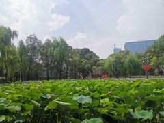 -四川大学(望江校区)