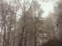 -驼梁风景区