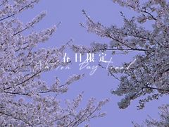 -上海辰山植物园