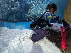 -世界之窗阿尔卑斯冰雪世界