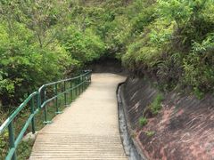 iphone_upload_pic-南丫岛
