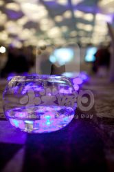 -M'S BANQUET AND SPACE ART