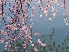 -颐和园