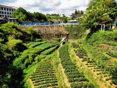 -磐安舞龙峡景区
