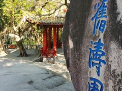 -乌山风景区