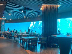 -海棠湾洲际-涛·海底餐厅·美人鱼·自助餐·海底隧道