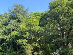 -终南山南五台景区