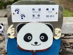 -卧龙中华大熊猫苑神树坪基地
