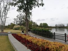 -上海长兴岛郊野公园