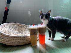 -幸福西饼面包茶饮(车公庙店)