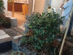 -阳光山水江湖菜馆(西山龙门店)