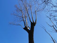 -后海16号·北京私房菜