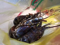 -江杨农产品批发市场