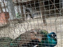 -罔极寺