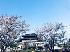-苏州上方山国家森林公园