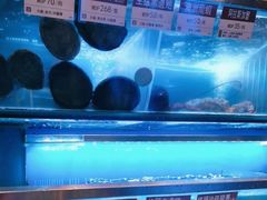 水产区-協成海鮮火鍋(老店)