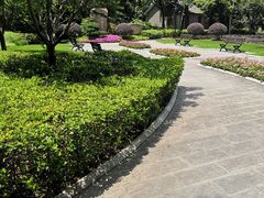 -徐家汇源景区-衡山公园