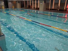 -小海豚国际游泳培训中心(浦东塘桥店)