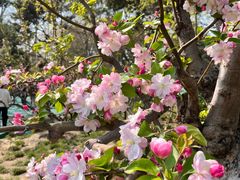 -元大都城垣遗址公园