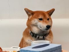 -小时光咖啡馆(北锣鼓巷店)