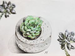 -八哥美术·成人美术画室(总校区)