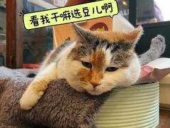 -浅行深作咖啡坊
