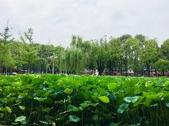 -四川大学(望江校区)