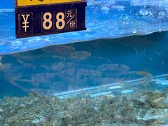 -阿马蛋汤·宁波小海鲜(总店)