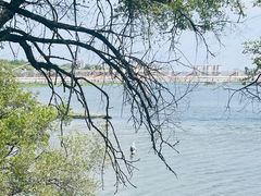 -沈阳鸟岛
