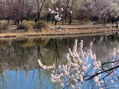 -国家植物园