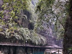 -阿依河景区