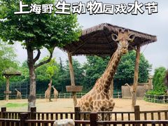 -上海野生动物园