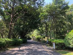 -深圳国际园林花卉博览园