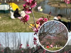 -长田漾湿地公园