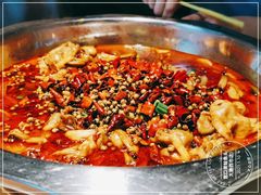 -宽口美蛙鱼头(大唐西市店)