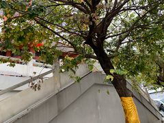 -福建省非物质文化遗产博览苑