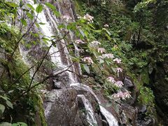 -藏龙百瀑风景区