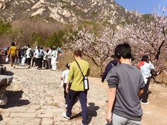 -北京凤凰岭