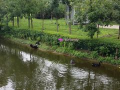 -长白岛森林公园