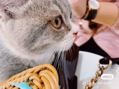 -INLOVE KTV(印象汇店)